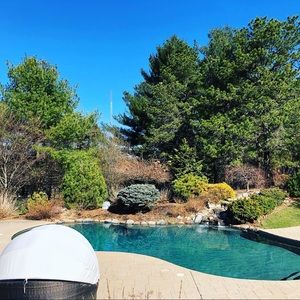 Meet your Posher, George